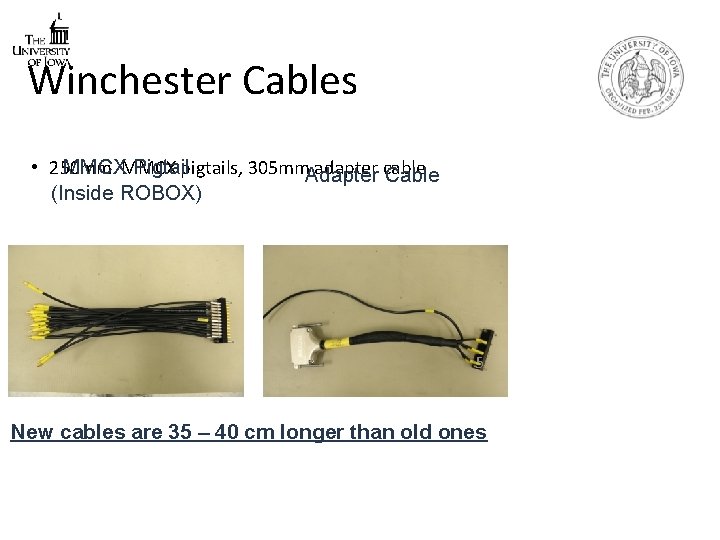 Winchester Cables • 250 mm adapter cable MMCX Pigtailpigtails, 305 mm. Adapter Cable (Inside