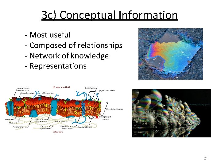 3 c) Conceptual Information ‐ Most useful ‐ Composed of relationships ‐ Network of