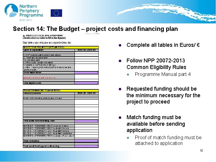 Section 14: The Budget – project costs and financing plan l Complete all tables