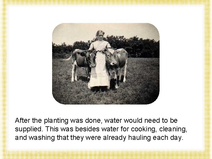 After the planting was done, water would need to be supplied. This was besides