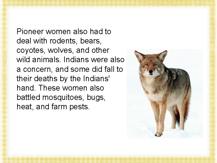 Pioneer women also had to deal with rodents, bears, coyotes, wolves, and other wild