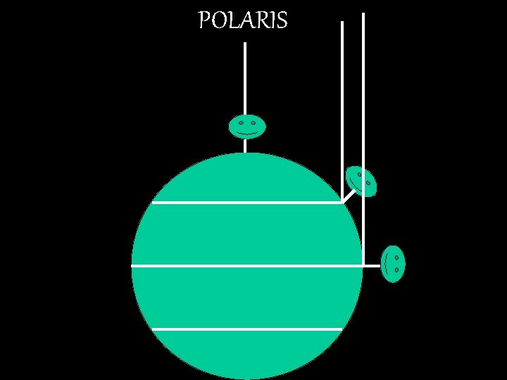 POLARIS 