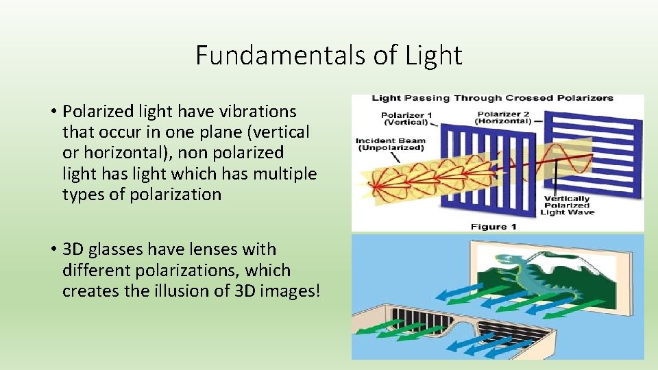 Fundamentals of Light • Polarized light have vibrations that occur in one plane (vertical