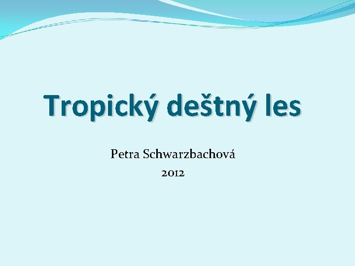 Tropický deštný les Petra Schwarzbachová 2012 