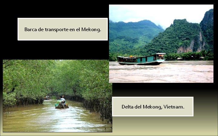 Barca de transporte en el Mekong. Delta del Mekong, Vietnam. 