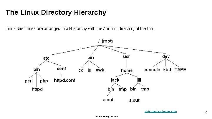 The Linux Directory Hierarchy Linux directories are arranged in a Hierarchy with the /