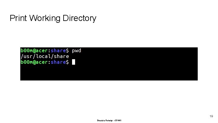 Print Working Directory 19 Shaurya Rohatgi - IST 441 
