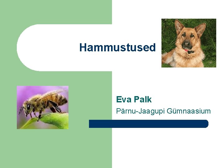 Hammustused Eva Palk Pärnu-Jaagupi Gümnaasium 