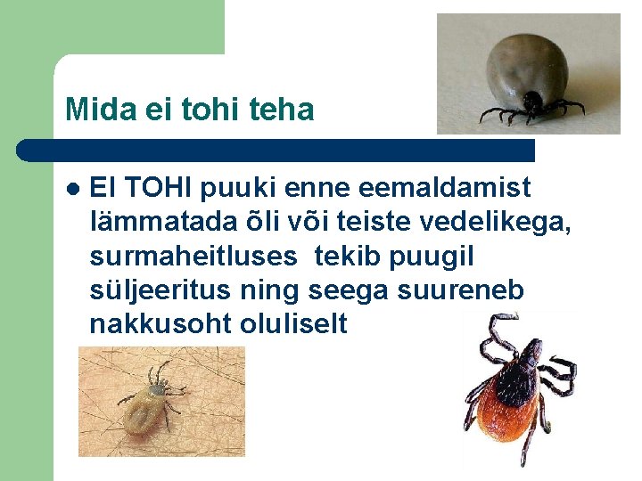 Mida ei tohi teha l EI TOHI puuki enne eemaldamist lämmatada õli või teiste