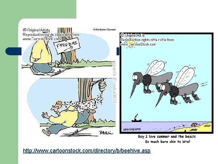 http: //www. cartoonstock. com/directory/b/beehive. asp 