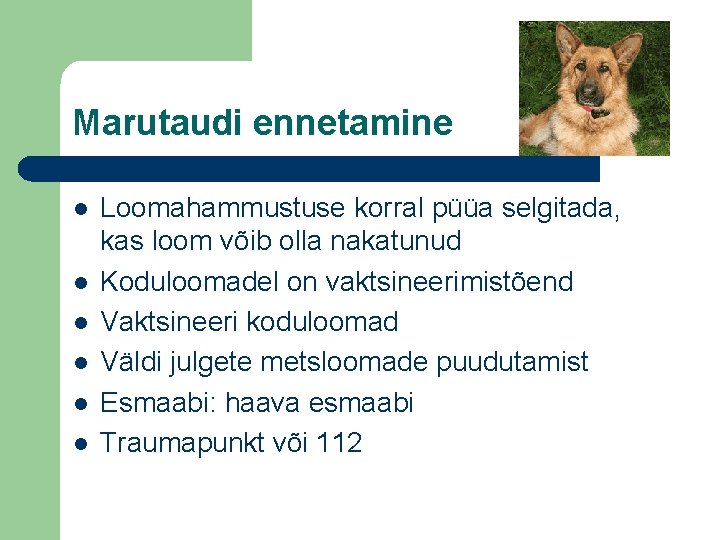 Marutaudi ennetamine l l l Loomahammustuse korral püüa selgitada, kas loom võib olla nakatunud