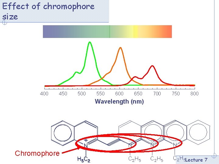 Effect of chromophore size 400 450 500 550 600 650 700 750 800 Wavelength