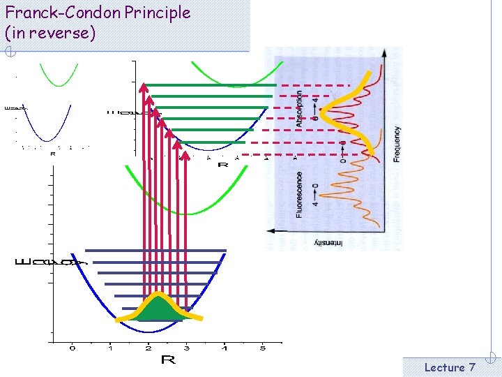 Franck-Condon Principle (in reverse) Lecture 7 