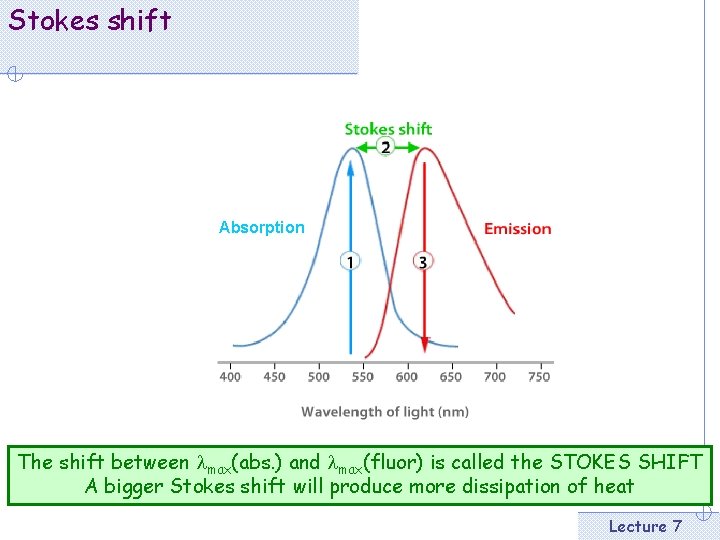 Stokes shift Absorption The shift between lmax(abs. ) and lmax(fluor) is called the STOKES