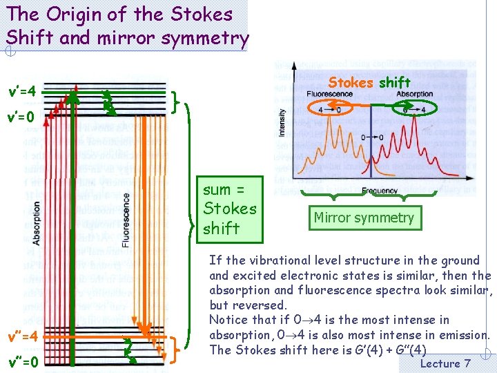 The Origin of the Stokes Shift and mirror symmetry Stokes shift v’=4 v’=0 sum