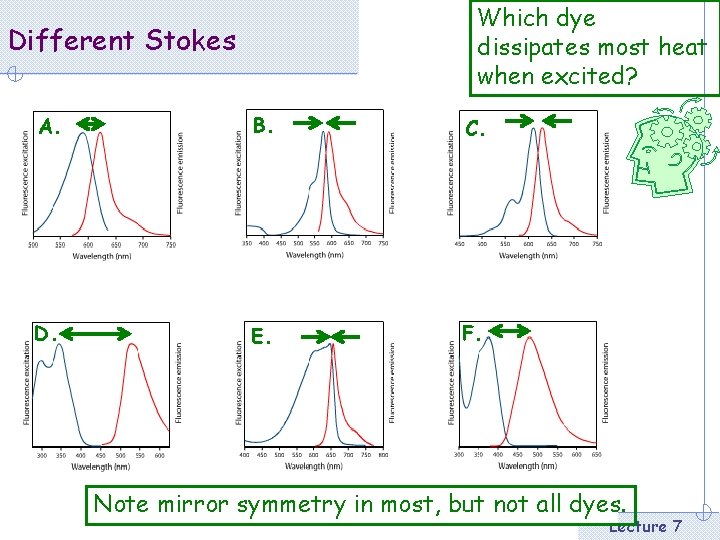 Which dye dissipates most heat when excited? Different Stokes A. B. C. D. E.