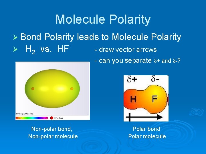 Molecule Polarity Ø Bond Polarity leads to Molecule Polarity Ø H 2 vs. HF