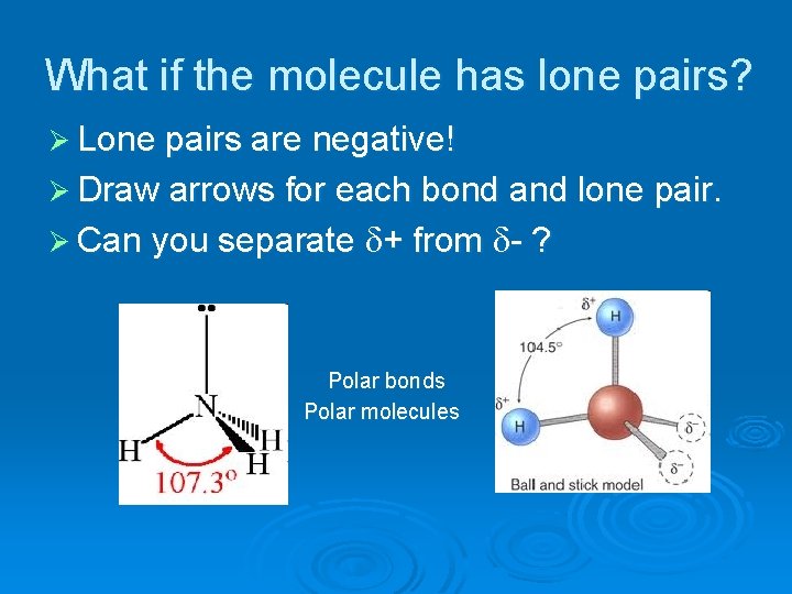 What if the molecule has lone pairs? Ø Lone pairs are negative! Ø Draw