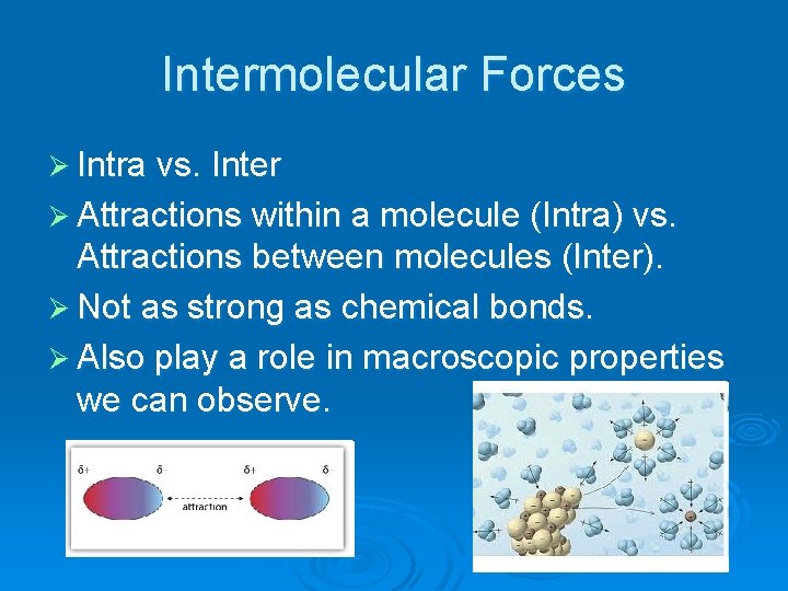 Intermolecular Forces Ø Intra vs. Inter Ø Attractions within a molecule (Intra) vs. Attractions