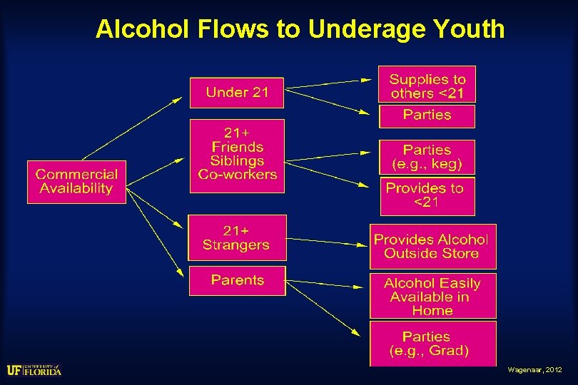 Alcohol Flows to Underage Youth Wagenaar, 2012 