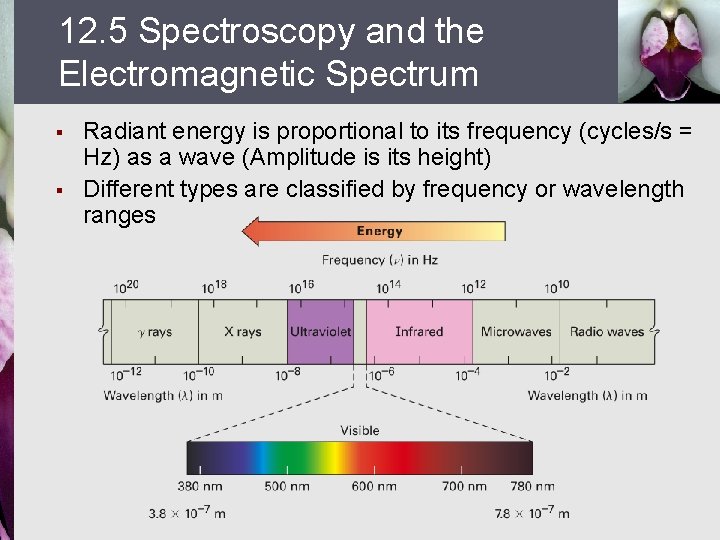12. 5 Spectroscopy and the Electromagnetic Spectrum § § Radiant energy is proportional to