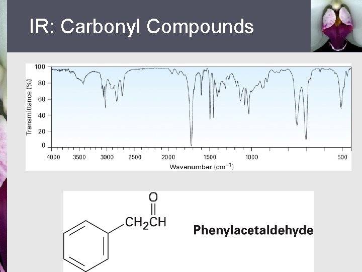 IR: Carbonyl Compounds 