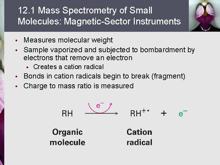 12. 1 Mass Spectrometry of Small Molecules: Magnetic-Sector Instruments § § Measures molecular weight