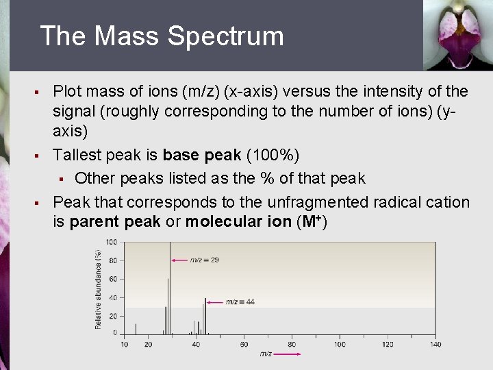 The Mass Spectrum § § § Plot mass of ions (m/z) (x-axis) versus the