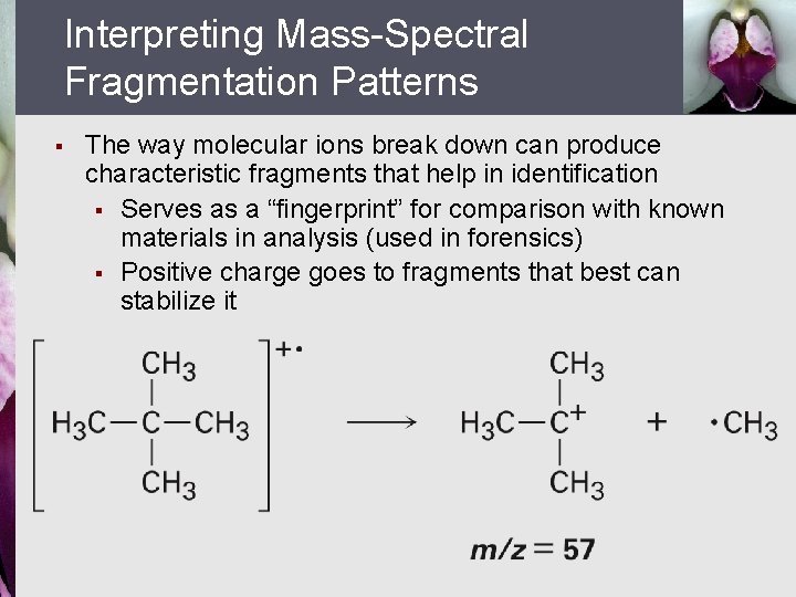 Interpreting Mass-Spectral Fragmentation Patterns § The way molecular ions break down can produce characteristic