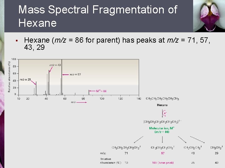 Mass Spectral Fragmentation of Hexane § Hexane (m/z = 86 for parent) has peaks