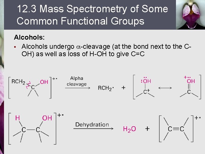 12. 3 Mass Spectrometry of Some Common Functional Groups Alcohols: § Alcohols undergo -cleavage
