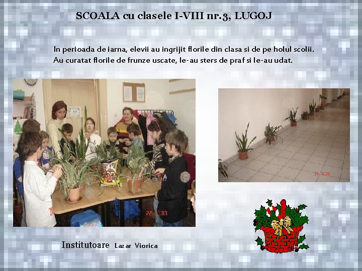 SCOALA cu clasele I-VIII nr. 3, LUGOJ In perioada de iarna, elevii au ingrijit