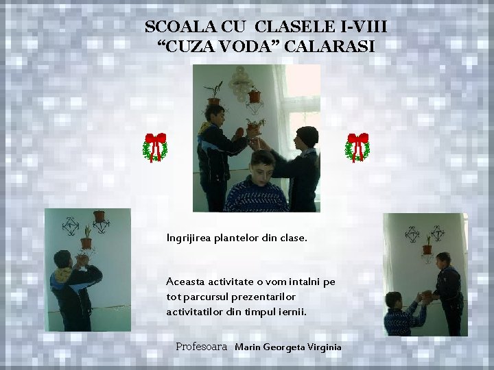 SCOALA CU CLASELE I-VIII “CUZA VODA” CALARASI Ingrijirea plantelor din clase. Aceasta activitate o