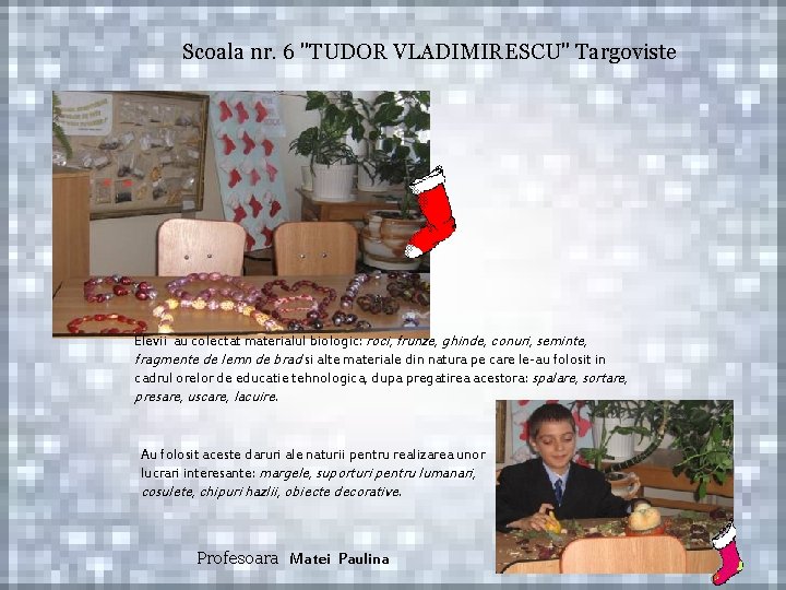 Scoala nr. 6 "TUDOR VLADIMIRESCU" Targoviste Elevii au colectat materialul biologic: roci, frunze, ghinde,