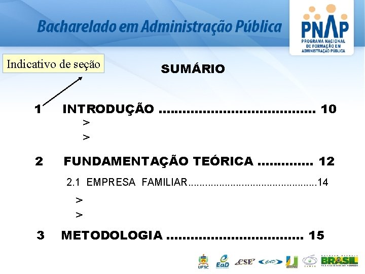 Indicativo de seção SUMÁRIO 1 INTRODUÇÃO. . . . . 10 > > 2