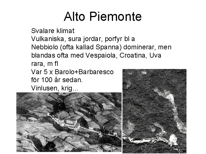 Alto Piemonte Svalare klimat Vulkaniska, sura jordar, porfyr bl a Nebbiolo (ofta kallad Spanna)