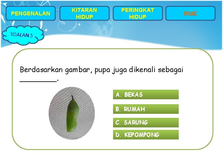 PENGENALAN KITARAN HIDUP PERINGKAT HIDUP SOALAN 5 Berdasarkan gambar, pupa juga dikenali sebagai ____.