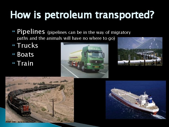 How is petroleum transported? Pipelines (pipelines can be in the way of migratory paths