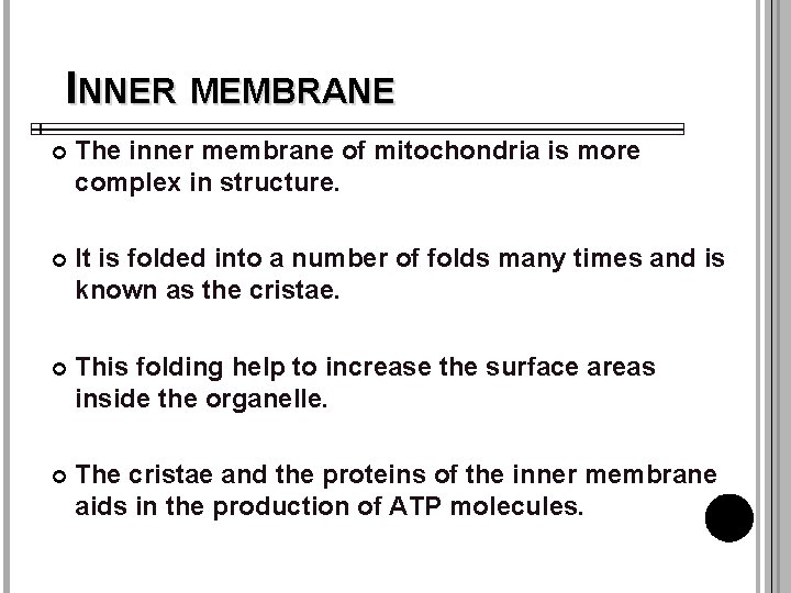 INNER MEMBRANE The inner membrane of mitochondria is more complex in structure. It is