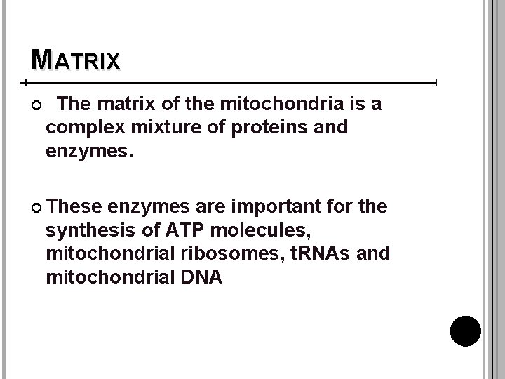 MATRIX The matrix of the mitochondria is a complex mixture of proteins and enzymes.