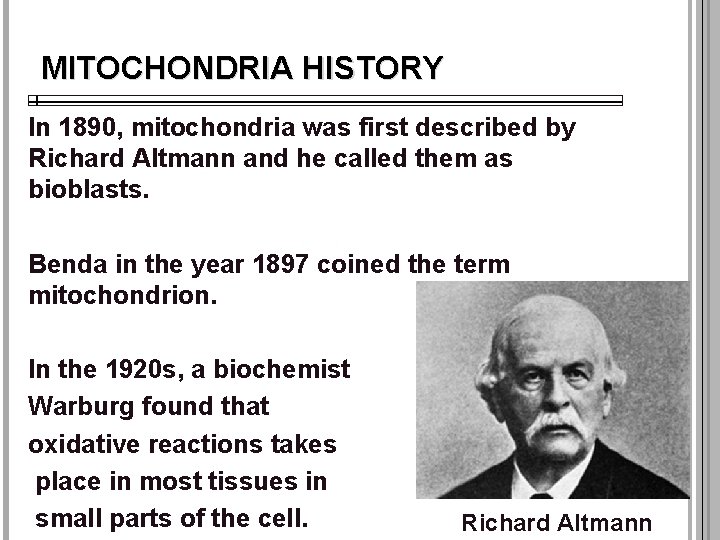 MITOCHONDRIA HISTORY In 1890, mitochondria was first described by Richard Altmann and he called