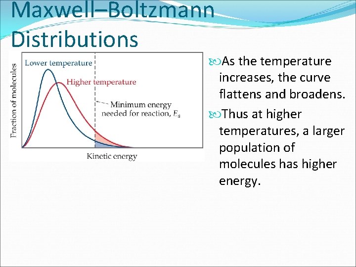 Maxwell–Boltzmann Distributions As the temperature increases, the curve flattens and broadens. Thus at higher