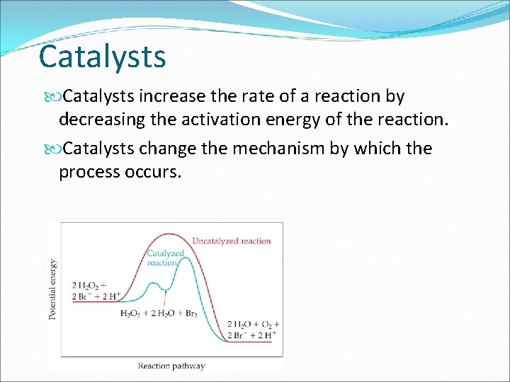 Catalysts increase the rate of a reaction by decreasing the activation energy of the