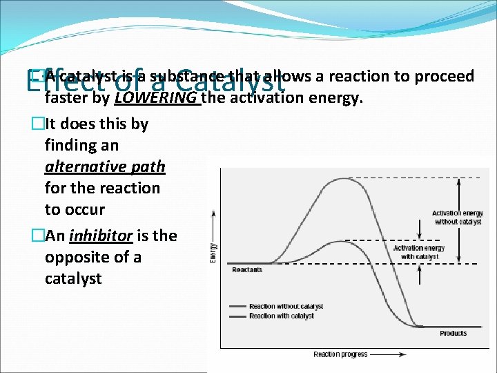 Effect of a Catalyst �A catalyst is a substance that allows a reaction to