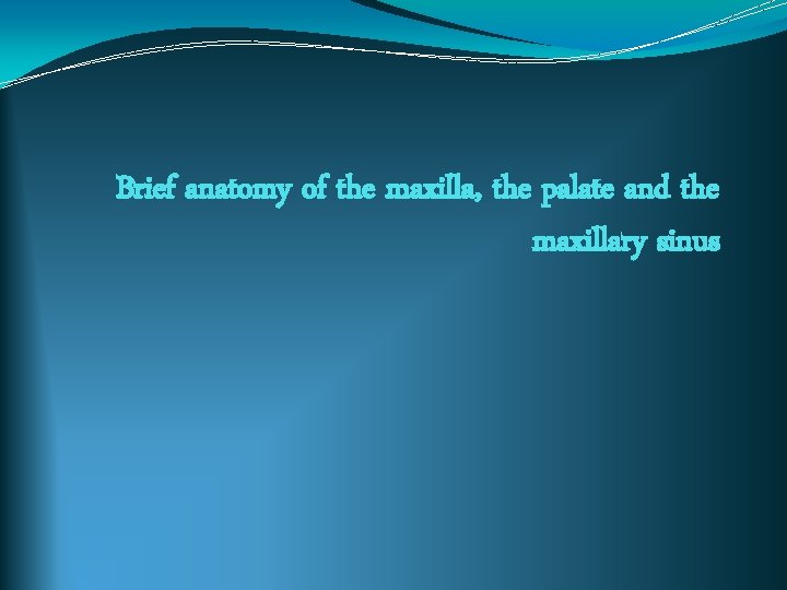 Brief anatomy of the maxilla, the palate and the maxillary sinus 