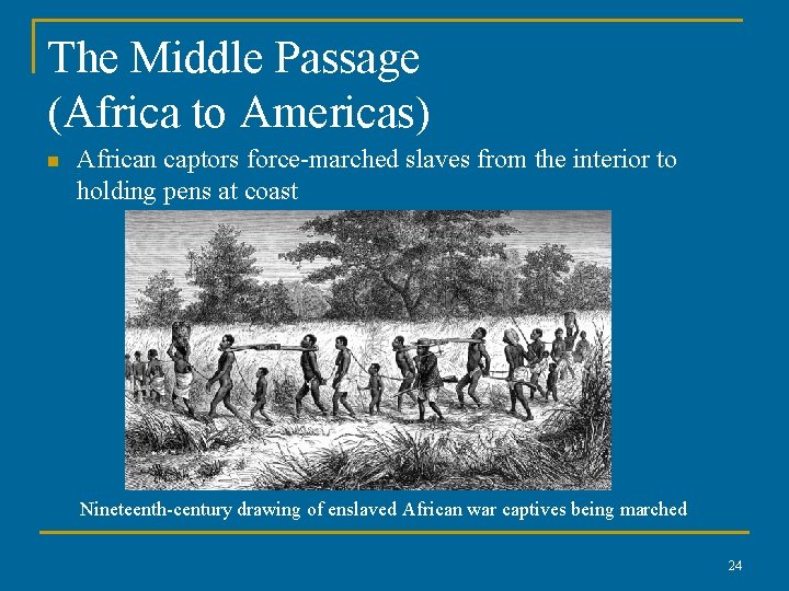 The Middle Passage (Africa to Americas) n African captors force-marched slaves from the interior