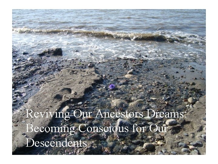 Reviving Our Ancestors Dreams: Becoming Conscious for Our Descendents 