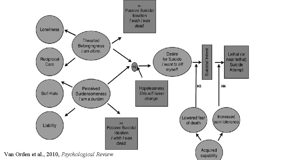 Van Orden et al. , 2010, Psychological Review 