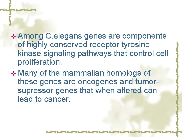 v Among C. elegans genes are components of highly conserved receptor tyrosine kinase signaling