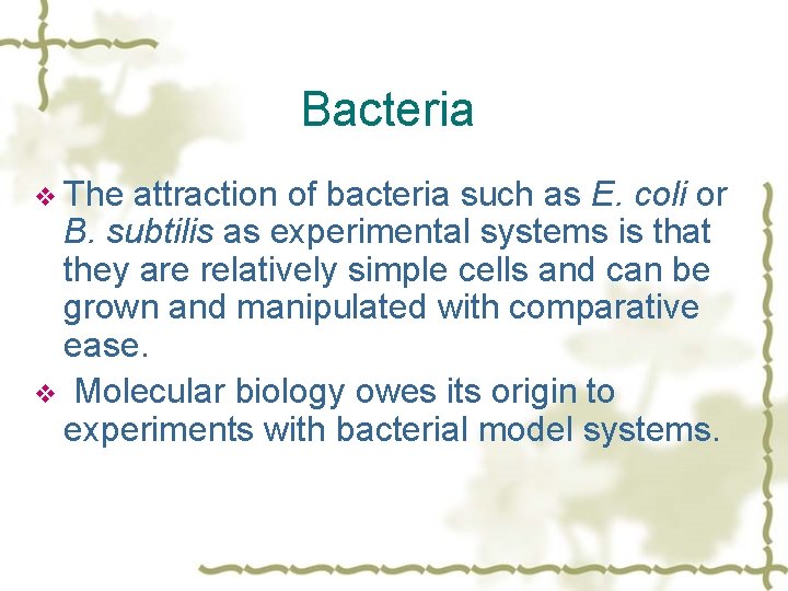 Bacteria v The attraction of bacteria such as E. coli or B. subtilis as